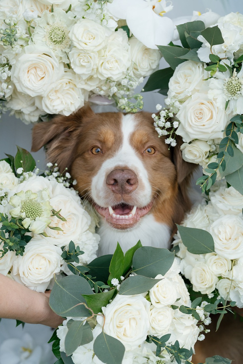 Katelyn & Josh wedding at Covey Creek — photo 10